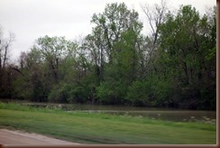 DSC06887